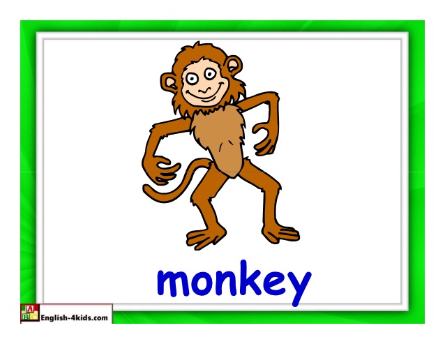 Обезьяна прилагательные. Обезьянка на английском. Абизьяна на английском языке. Карточки по английскому обезьяна. Карточка обезьяна.
